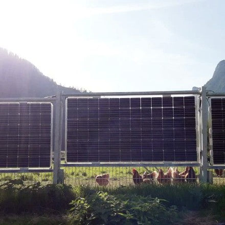 Next2Sun Solarzaun als Weidezaun mit Freilandhühnern vor Bergpanorama